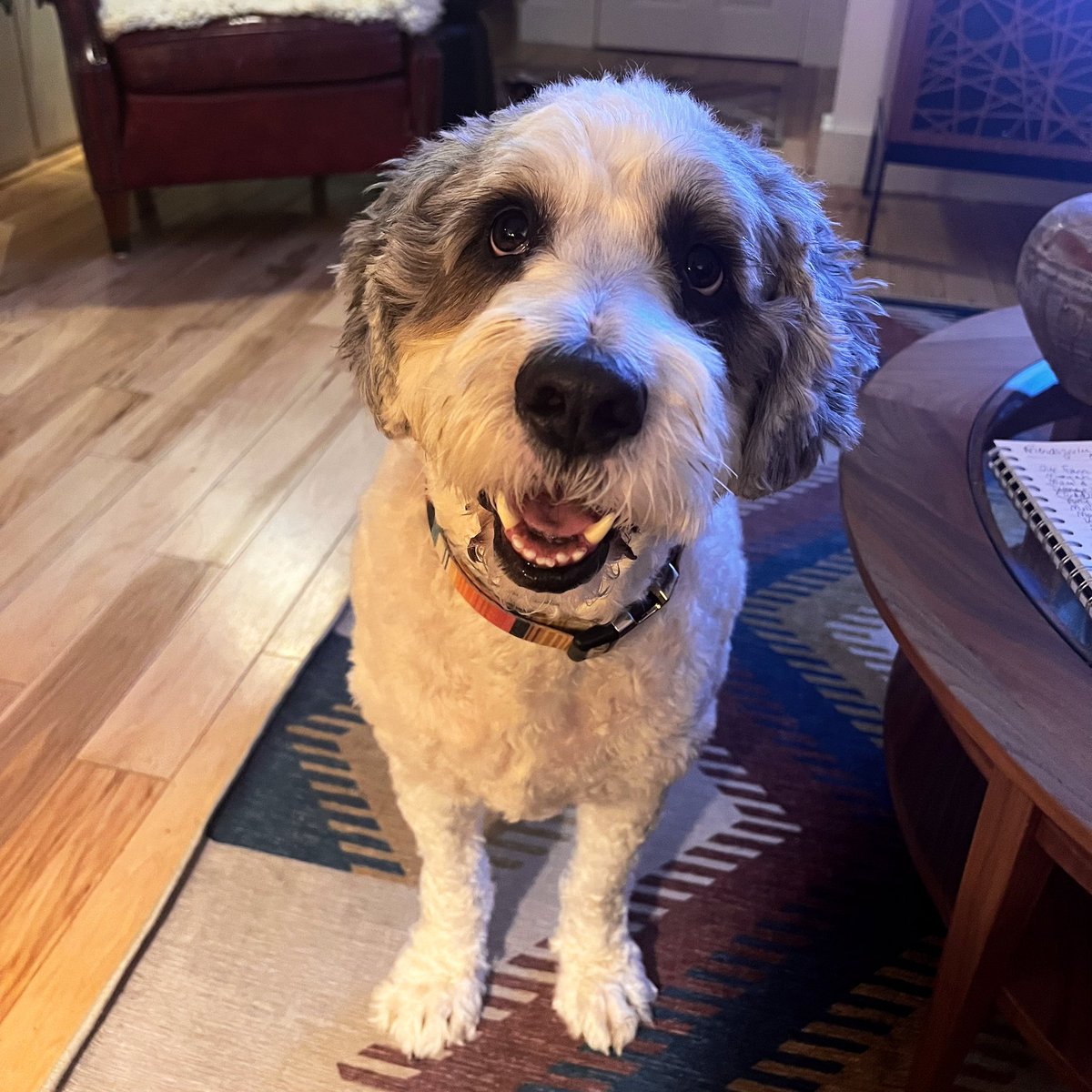 Rebecca Lavoie tweet media