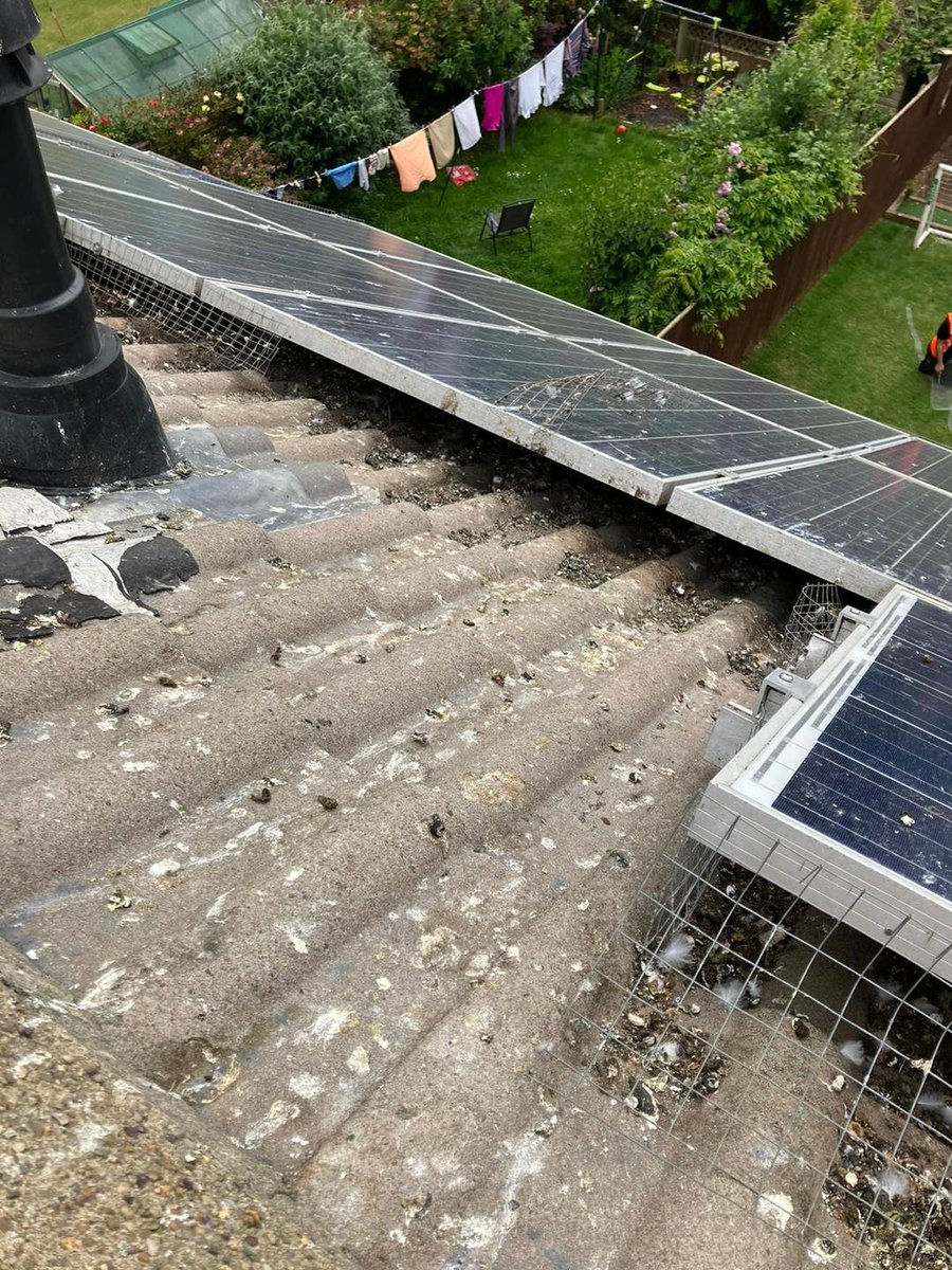 A1Canberra's tweet photo. Bird Pest Problem in Solar Panels? We've Got the Solution! 

Call A1 Pest Control Canberra 0407 065 413 for ALL of your LOCAL pest problems.
Visit us @ https://t.co/ATEH6xF9QW
#pestcontrolcanberra #canberrapestcontrol #a1pestcontrolcanberra #SolarPanelProblems #BirdPestControl https://t.co/T3m15UFdB6