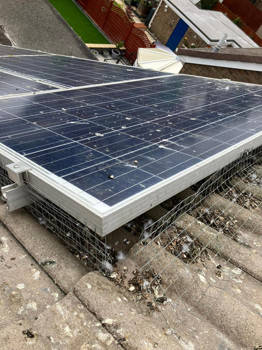 A1Canberra's tweet photo. Bird Pest Problem in Solar Panels? We've Got the Solution! 

Call A1 Pest Control Canberra 0407 065 413 for ALL of your LOCAL pest problems.
Visit us @ https://t.co/ATEH6xF9QW
#pestcontrolcanberra #canberrapestcontrol #a1pestcontrolcanberra #SolarPanelProblems #BirdPestControl https://t.co/T3m15UFdB6