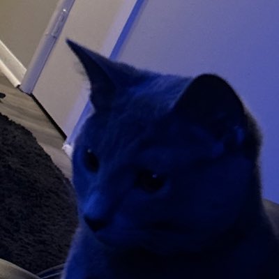 MountBehind's tweet image. #NewProfilePic