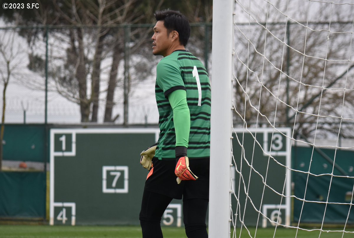 サンフレッチェ広島　2018年　林卓人　ユニフォーム サンフレッチェ広島 2018年 林卓人 ユニフォーム サンフレッチェ広島