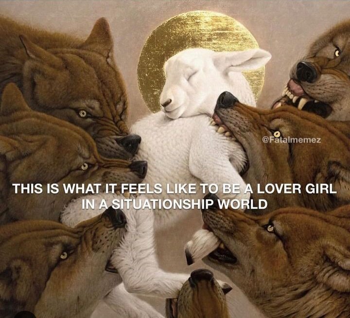 Cellderland's tweet image. #Currentstate