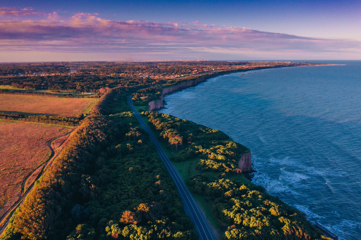 Juanchi Ugalde tweet media