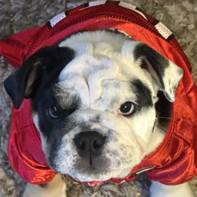 PEGGY COLE tweet media