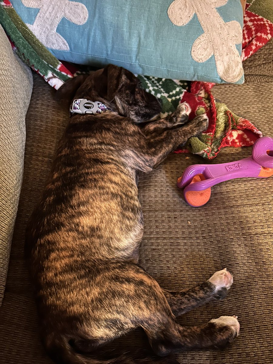 Genna Cajio tweet media