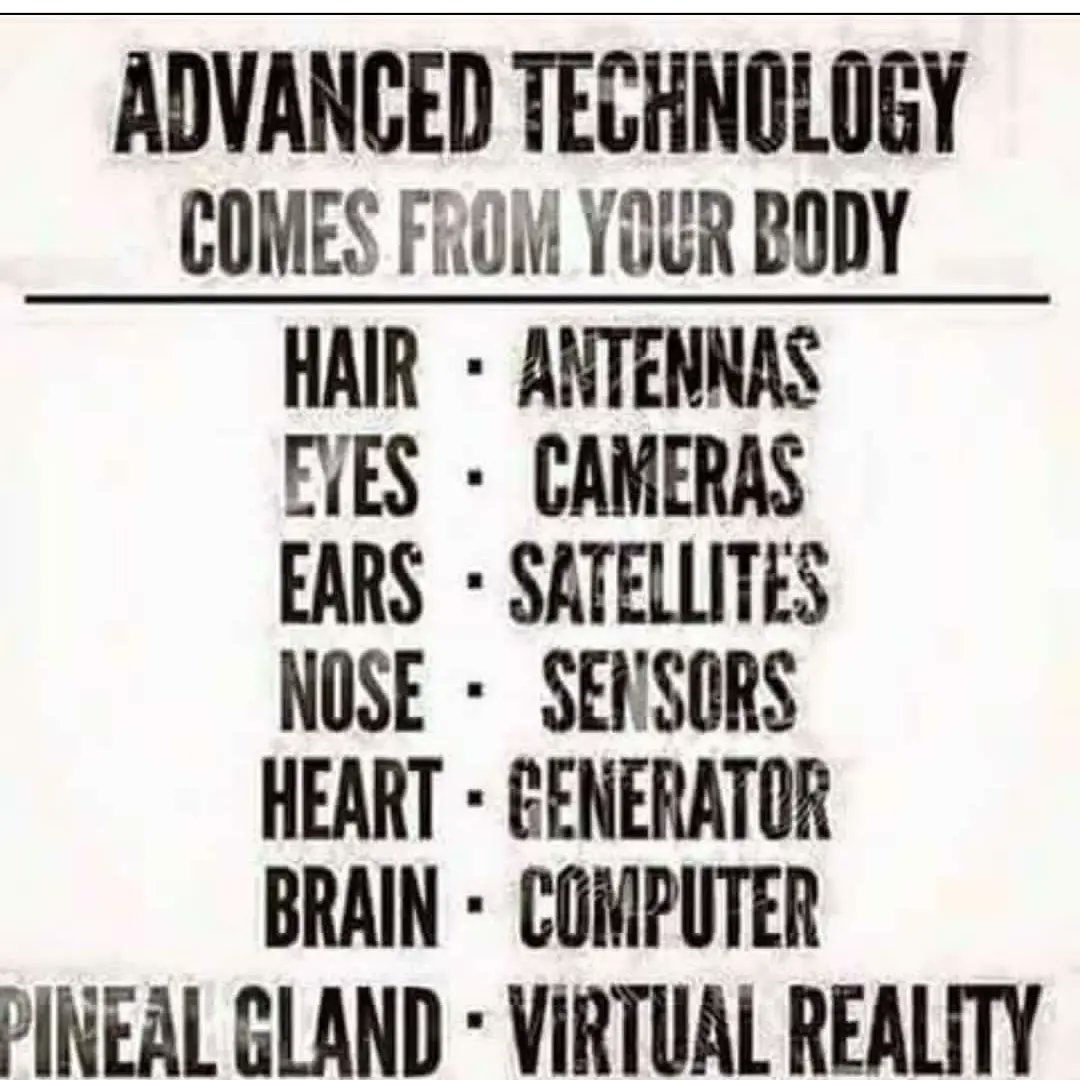 KaliAmunRa's tweet photo. @LoufactsIGB They get everything from our genetics! https://t.co/YgmgUVqMUP