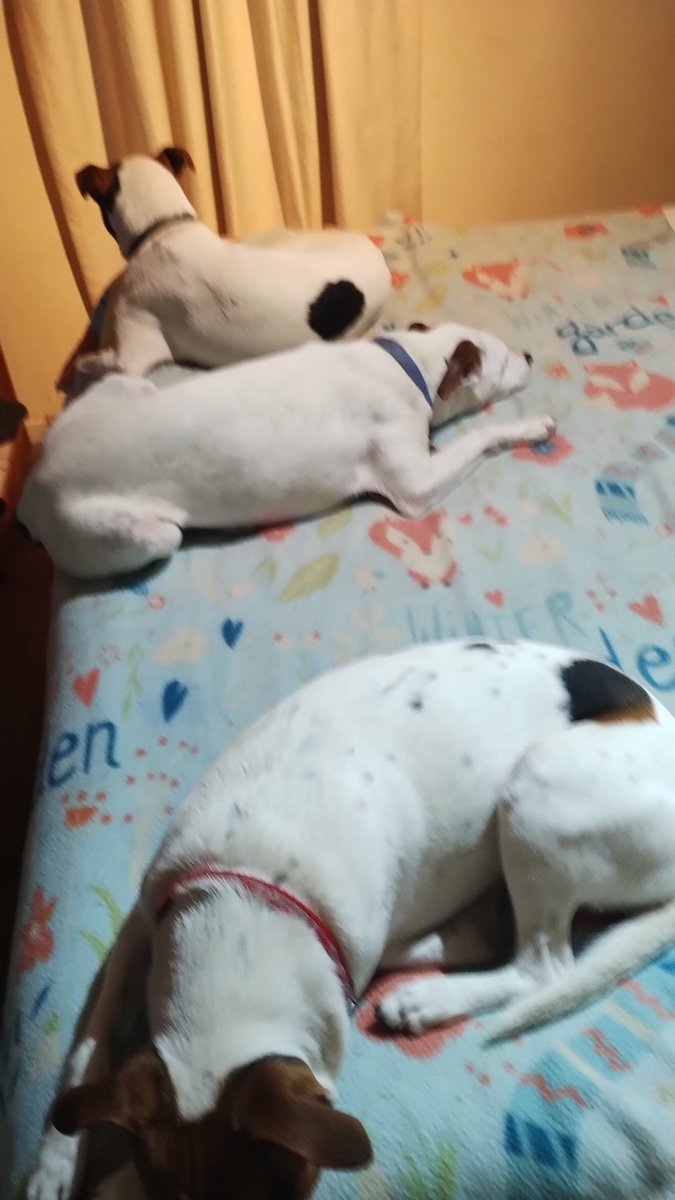 irisgon7's tweet image. #oyemegahola bueno su programa