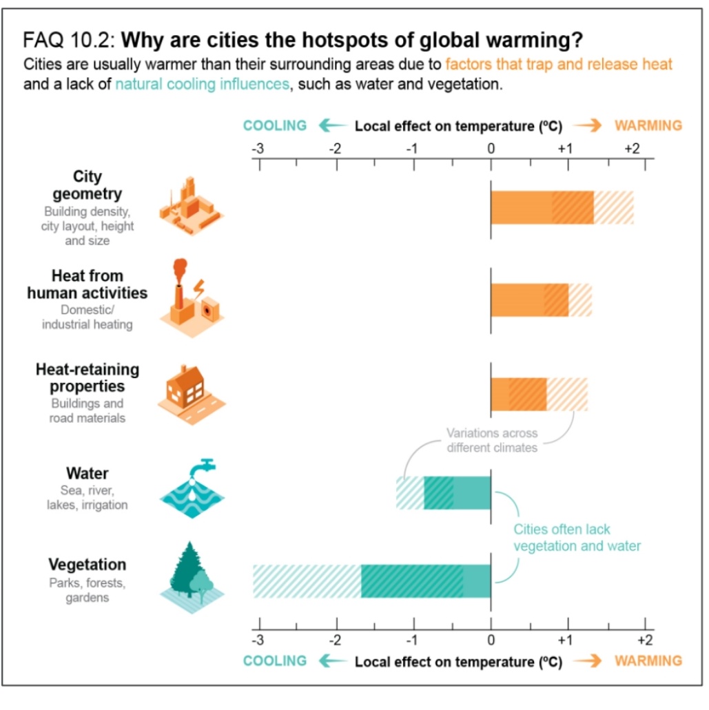 Melindalis's tweet photo. Esta imagen del #IPCC es bien ilustrativa  no solo de los factores que amplifican el calor en las áreas urbanas, sino también cómo podemos enfriar nuestras ciudades. https://t.co/T1nv9hU6tY