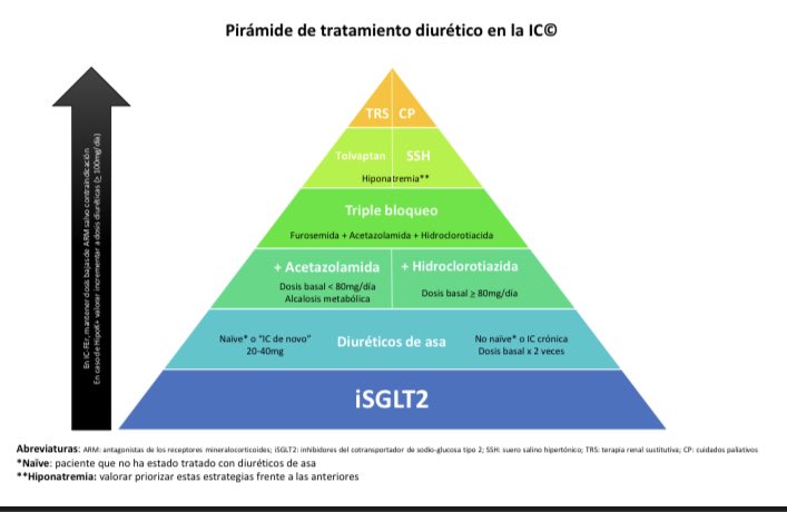 🍀En la #44SEMI presentamos con @cistatin la pirámide de tratamiento #diurético en la insuficiencia cardiaca aguda del grupo @IcyfaSemi de la @Sociedad_SEMI