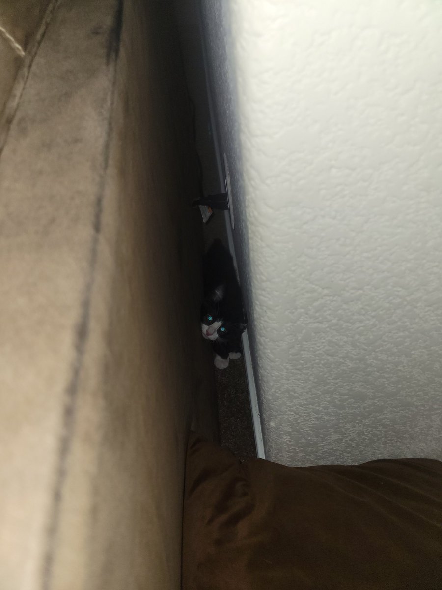 VRydus's tweet image. Hello Twitter, meet my new son