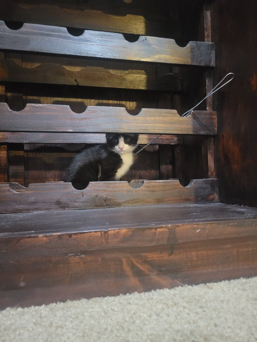 VRydus's tweet image. Hello Twitter, meet my new son