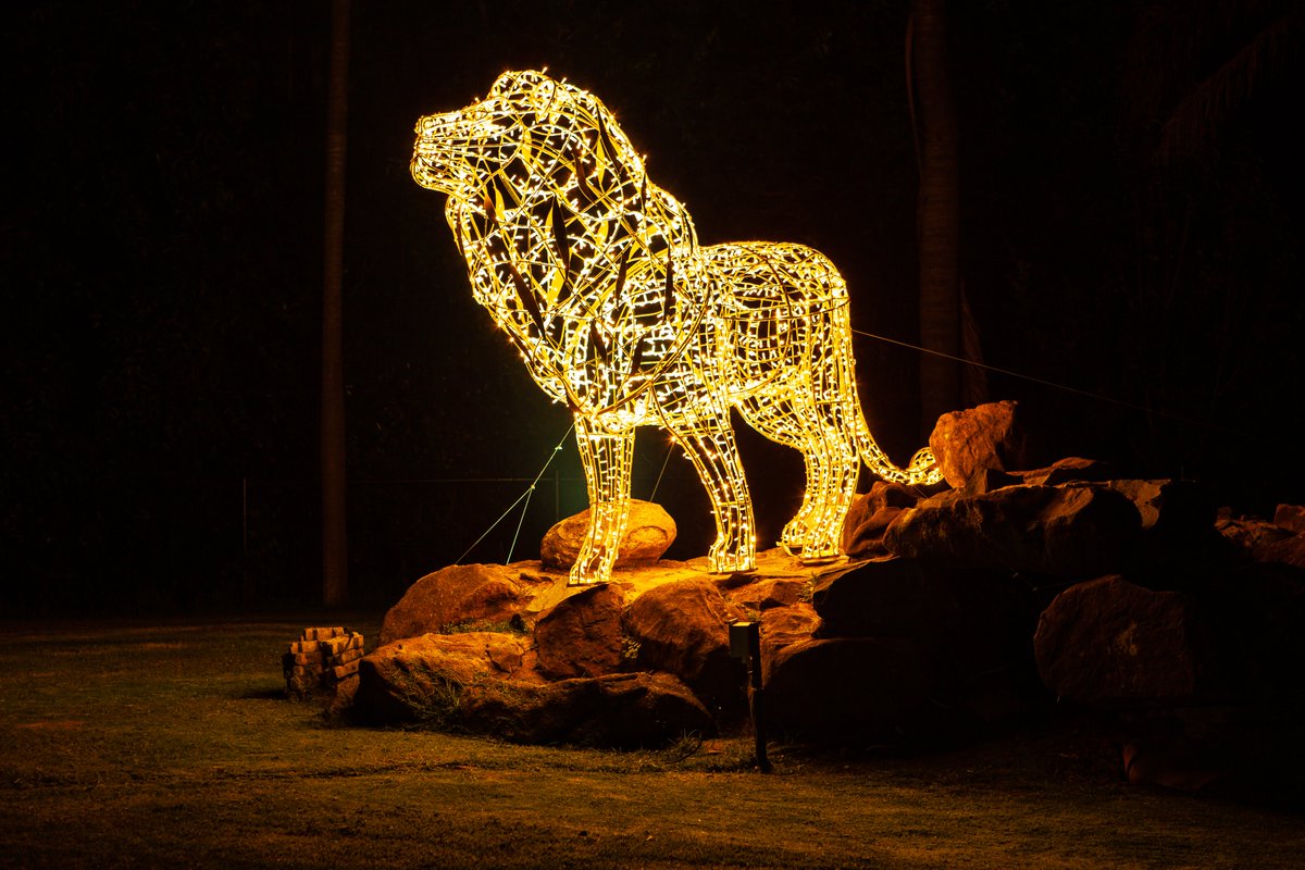 City of Joburg tweet media