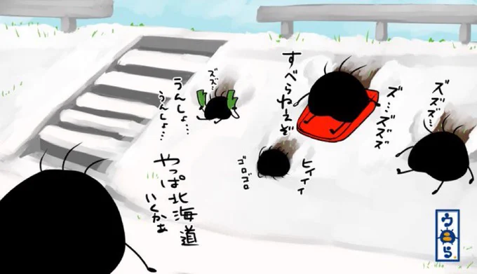 より抜きウニら冬ウニら①ウニら一家が住んでいる地域にも雪が積もりましたよ。子ウニら達は大はしゃぎで雪遊びに出ましたがなんか期待外れでポップソリでも全然滑らなくてションモリです。見かねた父ちゃんがマジになりましたよ #イラスト #ゆるいイラスト #オリキャラ #冬ウニら #ポップソリ