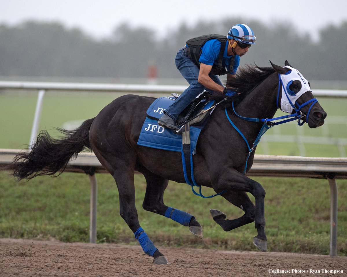 Ryan Thompson tweet media