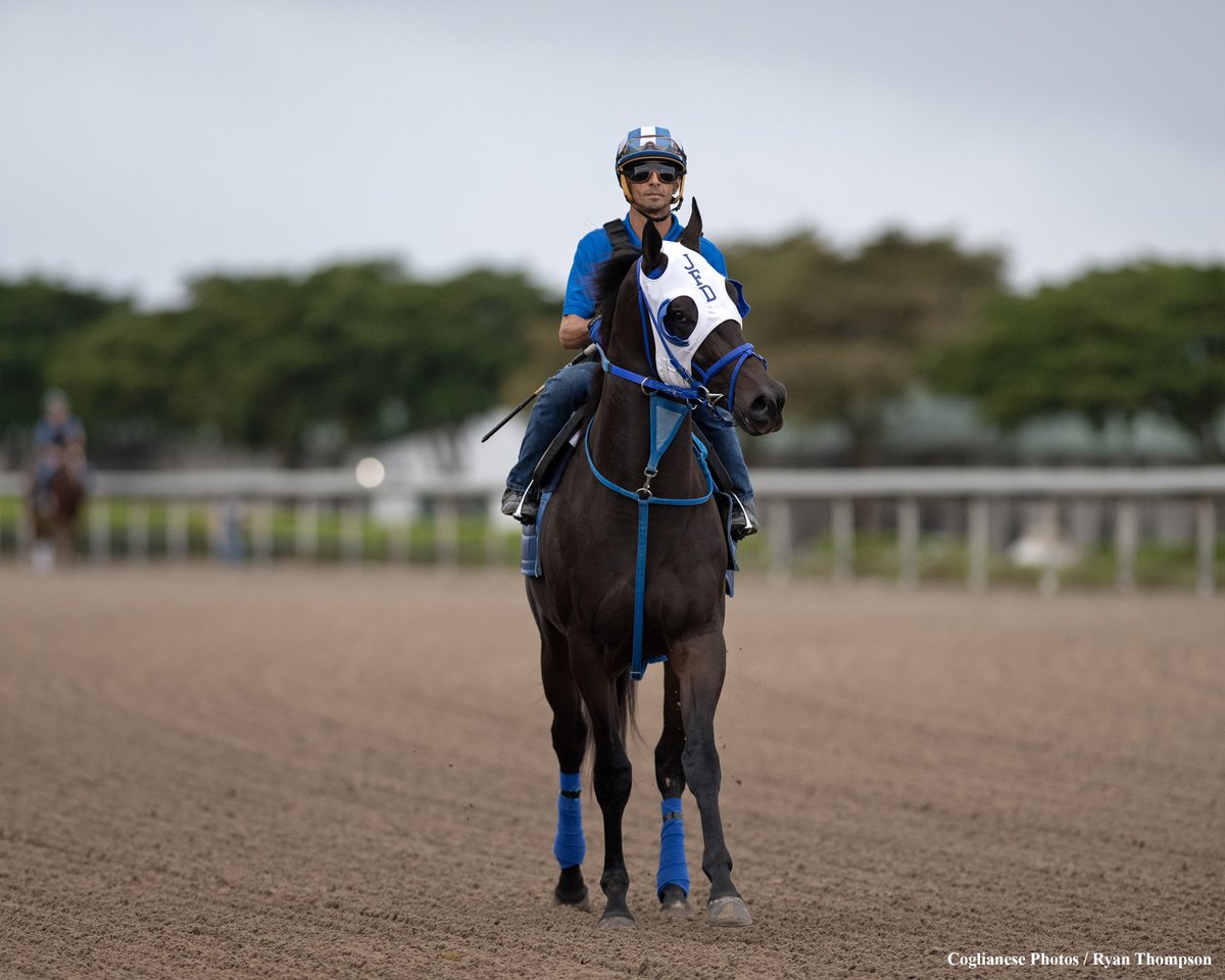 Ryan Thompson tweet media