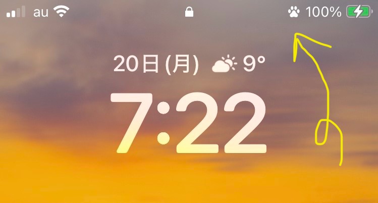 nowhere_umi's tweet photo. iPhoneに肉球付けた🐾

何の意味もなく、ただあるだけ。
ほっこり♡ https://t.co/G2Q8uQ2r5a
