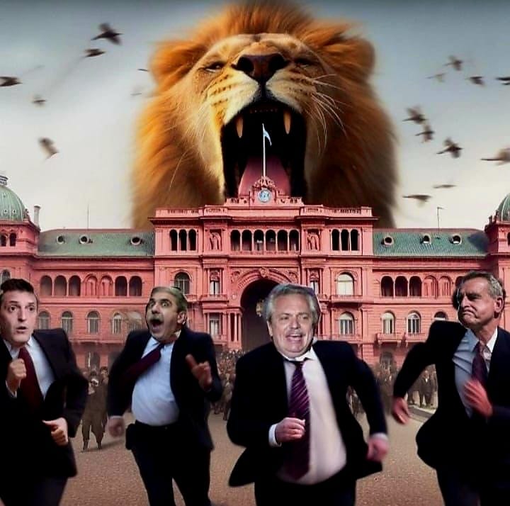 virchupecas's tweet photo. 🦁🦁🦁🦁🦁 🇦🇷🇦🇷🇦🇷🇦🇷 https://t.co/vleWPD58n2