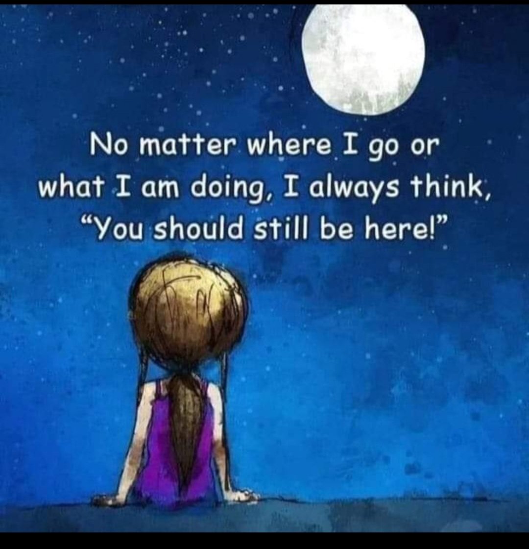 Justice4TLS's tweet image. Tash, Lionel, Ralph, Rio, Kai, Luba, Erza, Beau, Molly, Musa and Annie
We will never forget you #LestWeForget #remember #AnimalWelfare #Defra #MentalHealthAwareness