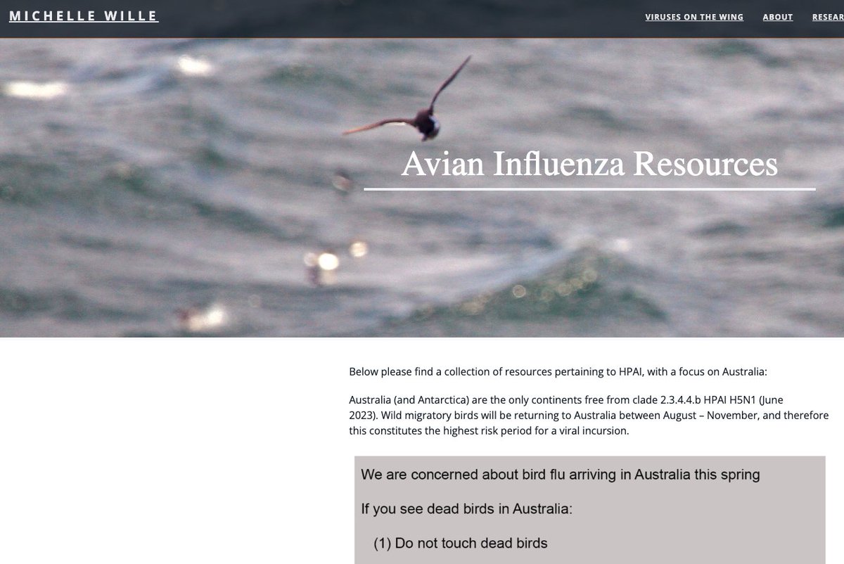 Been posting HPAI research articles now for ~ 1 year. 362 paper summaries tweeted, and there is no indication the number of papers will slow down. Will keep going as long as it remains a useful resource. Summaries and other HPAI resources available at michellewille.com/avian-influenz…