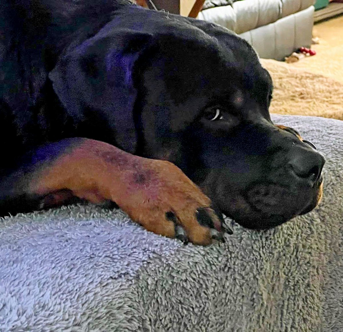 FanVū Sports tweet media