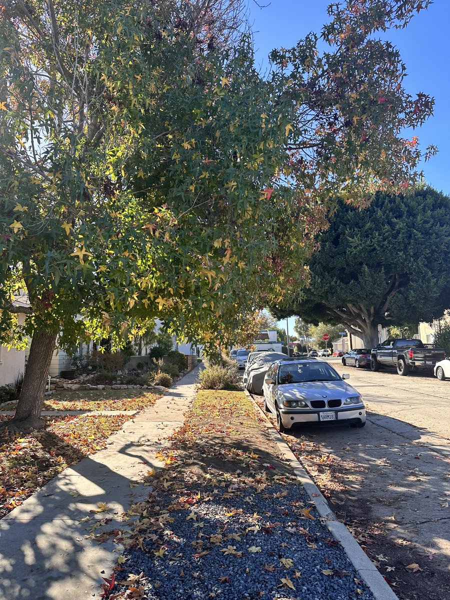 jknoxmobile's tweet photo. FALL https://t.co/hzVjIzqvUX