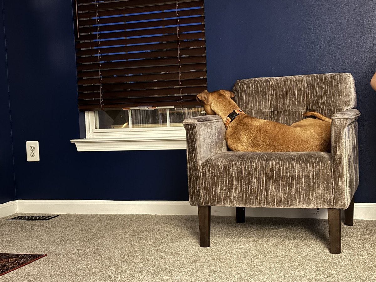 Hamilton tweet media