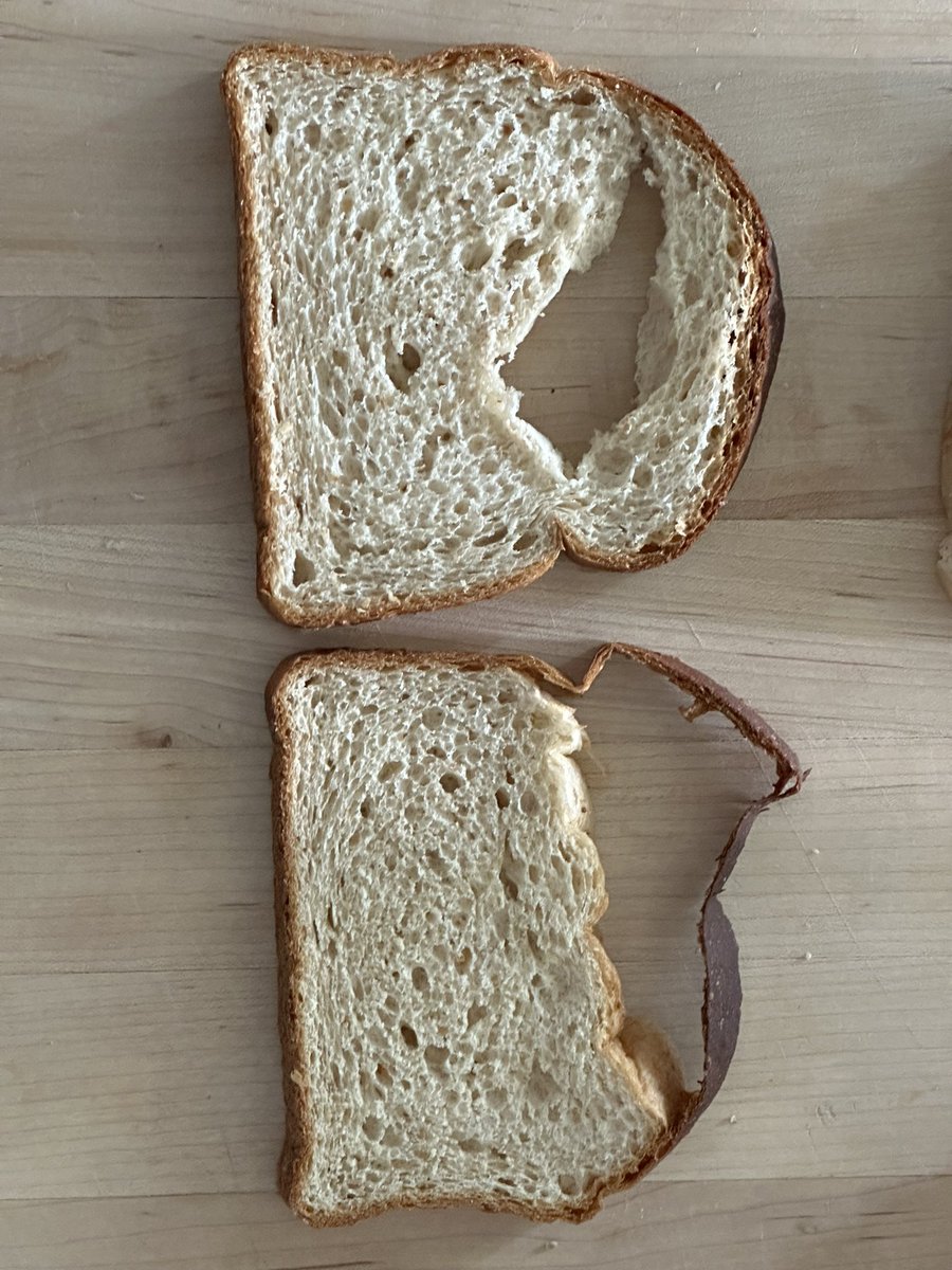 BriqFoundation's tweet photo. @Natures_Own just bought two different loafs and they look like this… What’s going on? https://t.co/wvkOFKCb7G