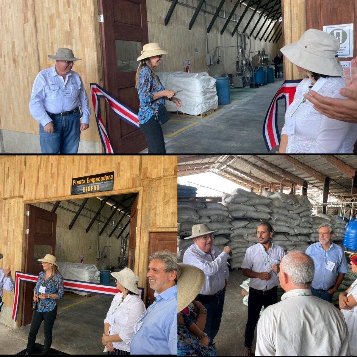 ItalyinCR's tweet photo. Participamos en la inauguración de #Biopro, el primer experimento de productos orgánicos para la agricultura sustentable producidos en #CostaRica.
Son el resultado de años de trabajo de la empresa Grupo Los Nacientes, uno de los mayores productores 🇨🇷 de piña para el mercado 🇮🇹 https://t.co/dZMqh2PoP6