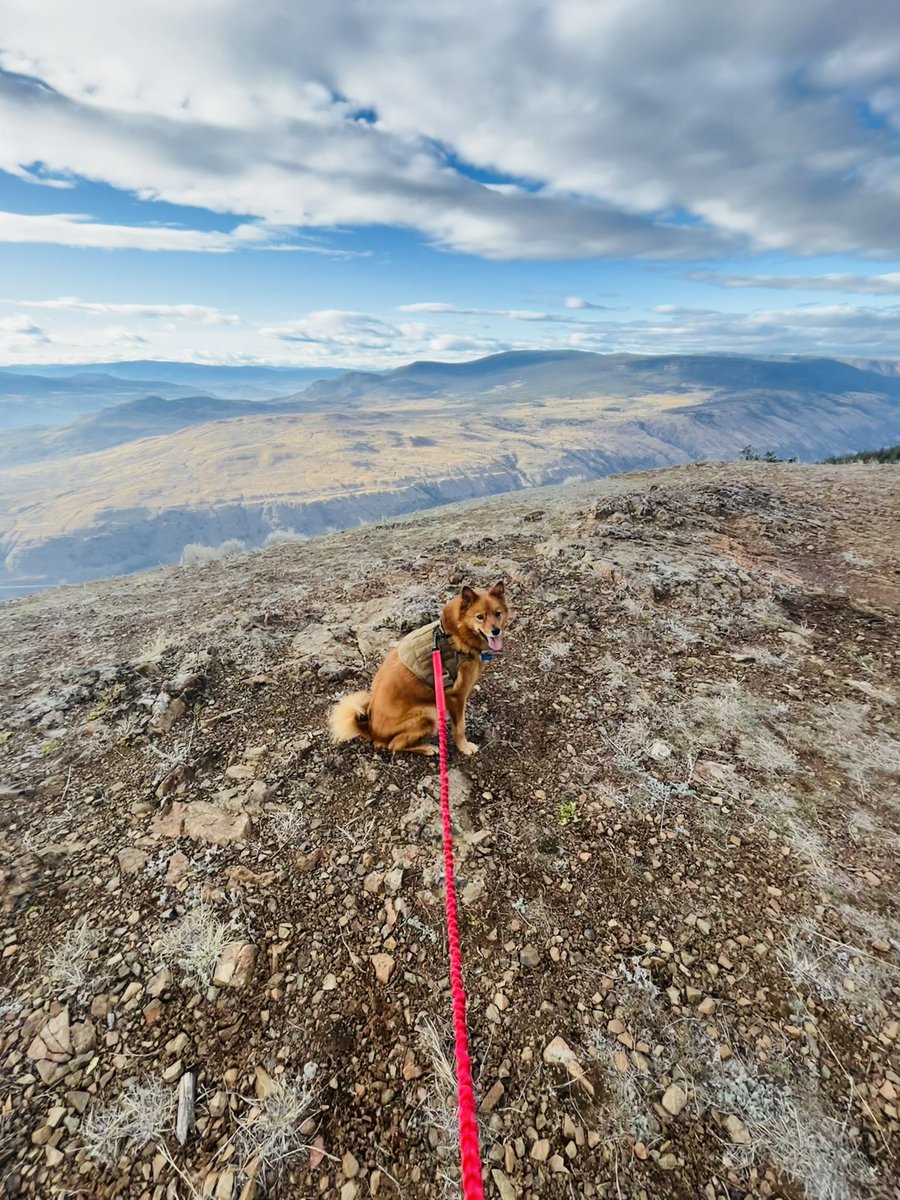 Jenn Dalen-Gordon tweet media