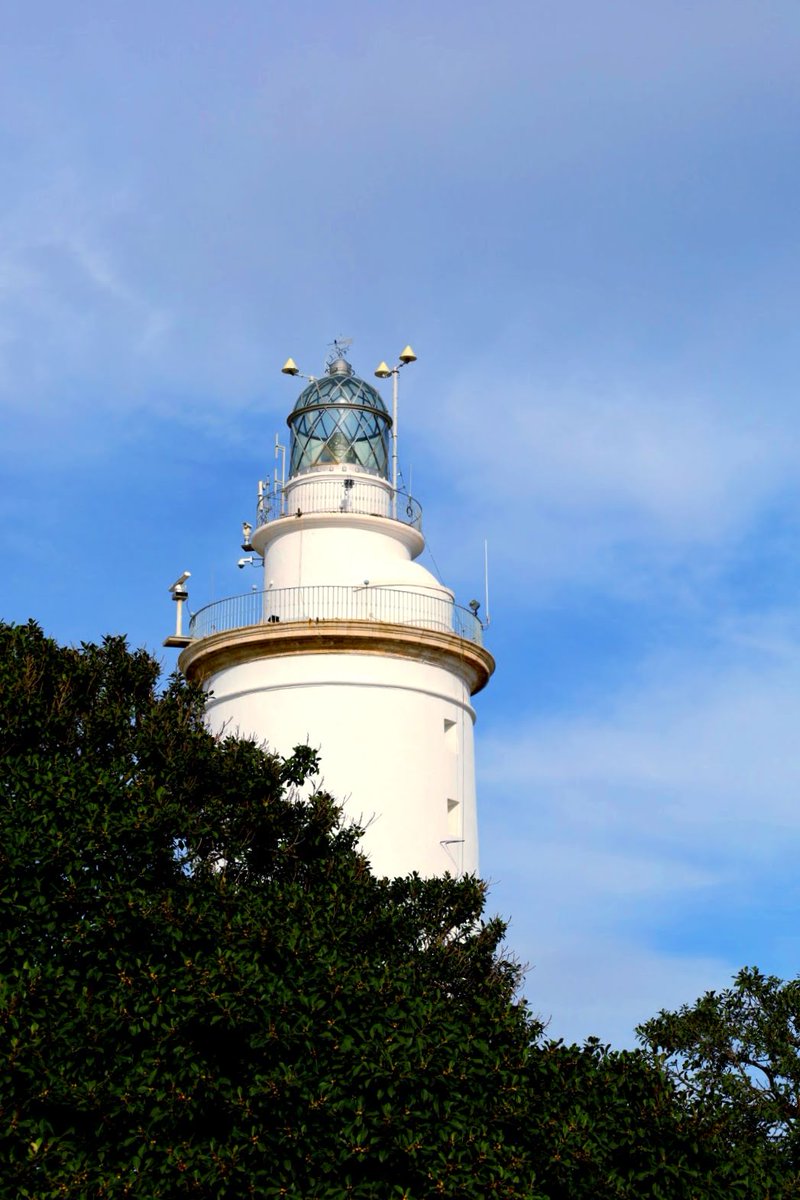 Ico Montesino tweet media