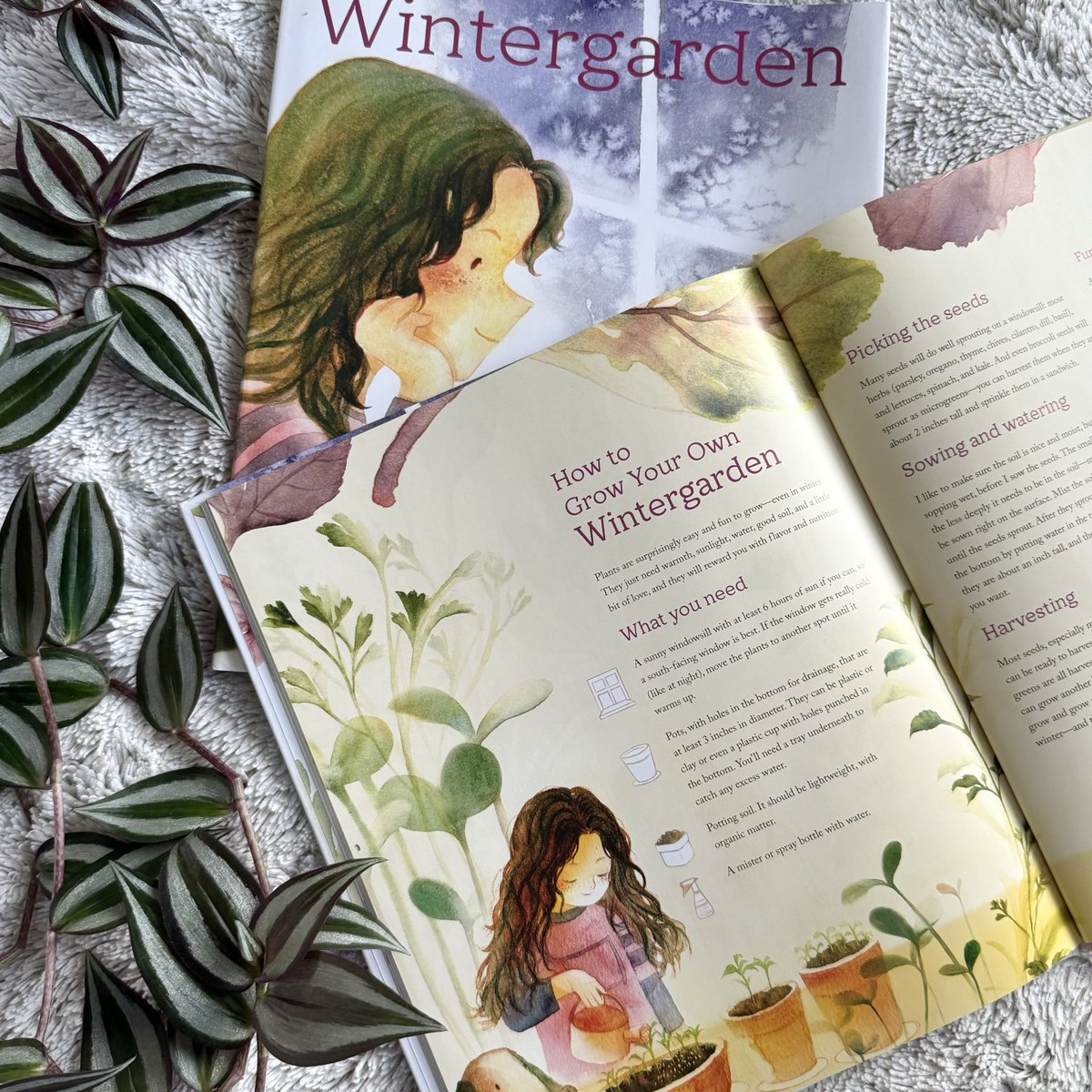 Holiday House Publishing, Inc. (@holidayhousebks) on Twitter photo Check out the backmatter of WINTERGARDEN to learn how to create your own herb garden in wintertime!
<a href="/janetsfox/">Janet Fox believes stories change the world</a>
#picturebook
holidayhouse.com/book/wintergar… Check out the backmatter of WINTERGARDEN to learn how to create your own herb garden in wintertime!
<a href="/janetsfox/">Janet Fox believes stories change the world</a>
#picturebook
holidayhouse.com/book/wintergar…