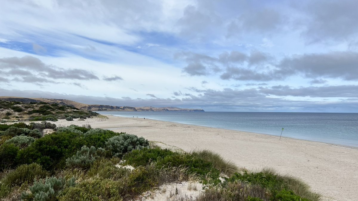PhilPggreen1's tweet image. Beautiful part of #SouthAustralia #Ladybay #Normanville #Carrickalinga The new #Surflifesaving club