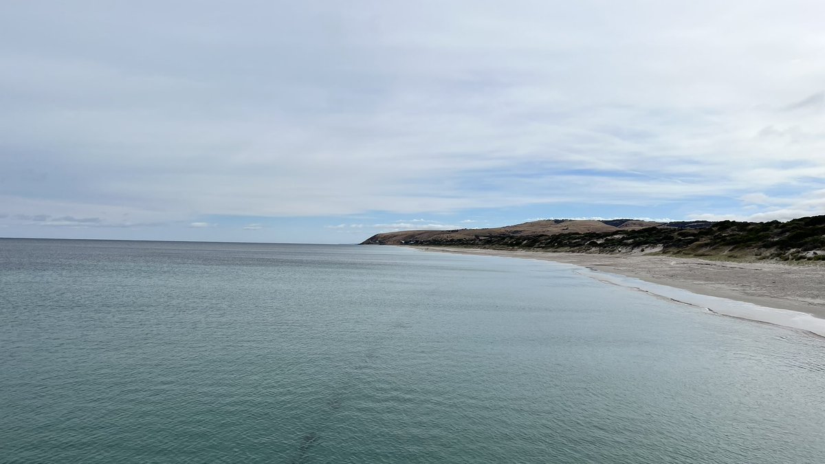PhilPggreen1's tweet image. Beautiful part of #SouthAustralia #Ladybay #Normanville #Carrickalinga The new #Surflifesaving club