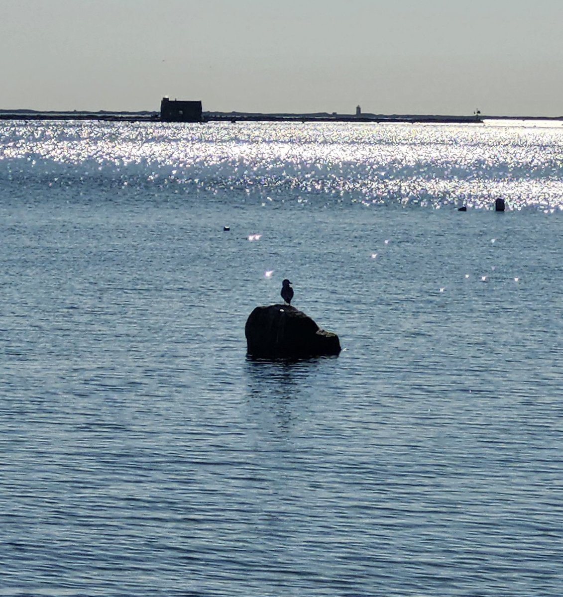 Mary E. Swigonski tweet media