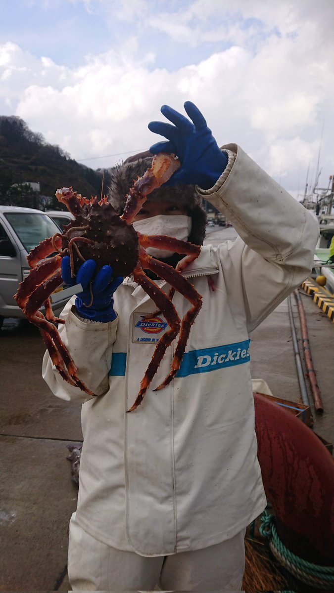 captainhamako's tweet photo. プレゼント企画第3弾🎉
おまたせしました!カニ🦀❤️❤️❤️
今回はアブラガニ🦀✨大きくて食べごたえのあるカニです✨
フォロー&amp;RT　1名様✨
2023.11/27まで✨
#懸賞 #プレゼント #物価高騰 #増税 #海鮮 #完全無料 #食育 #産直 #青森 #魚食推進 #中泊 #小泊 #蟹 https://t.co/xLmZF5Bs0C