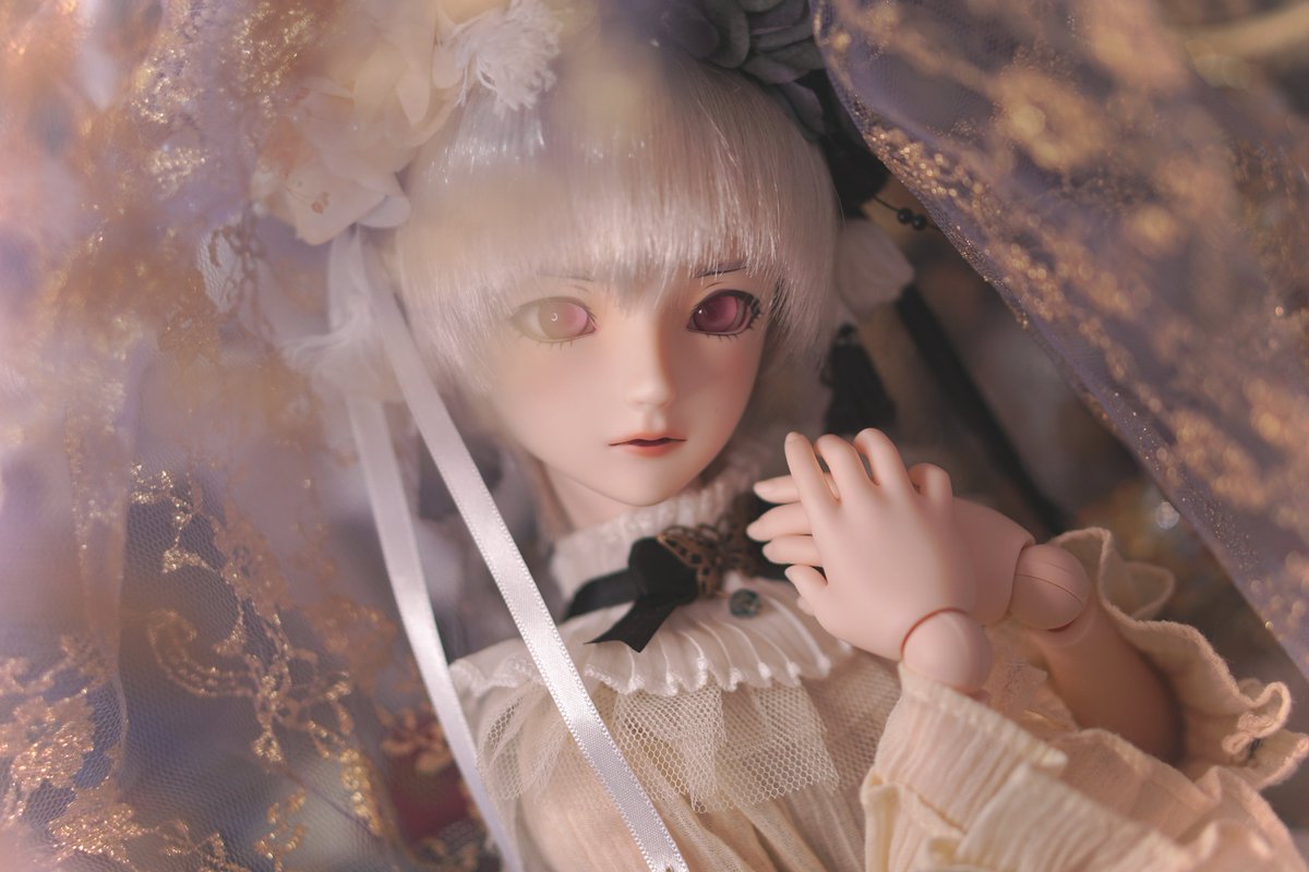 gackaito's tweet photo. 祈り✨
DD
イオリ(ヨルハ9S)
#dd男子はいいぞ
#DD男子
#DD9S https://t.co/1bSpQBJRub