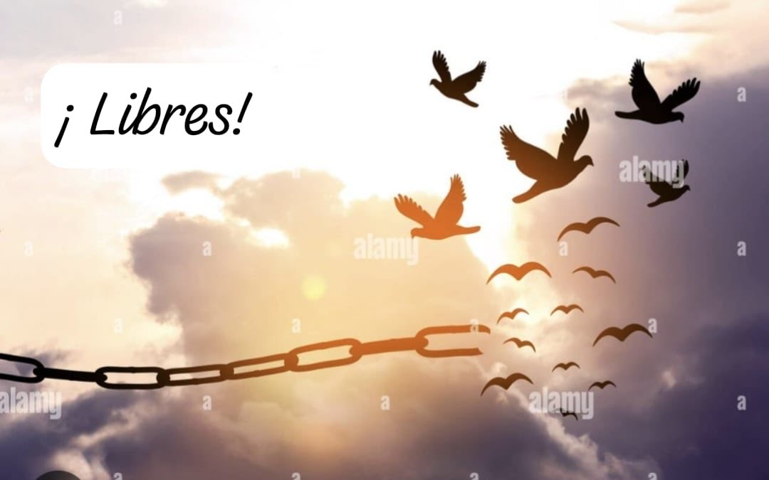 maria08347982's tweet image. #GRCS Argentinos 🇦🇷🇦🇷🇦🇷🇦🇷🇦🇷🇦🇷🇦🇷🇦🇷🇦🇷🇦🇷🇦🇷🥂🍾🥂🍾🥂🍾