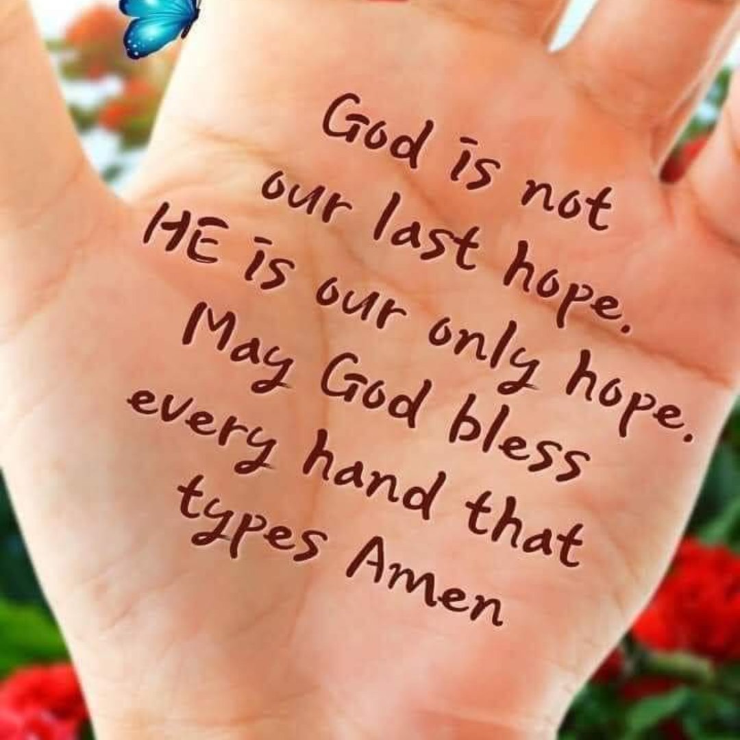 AMASEEDSOWER tweet media