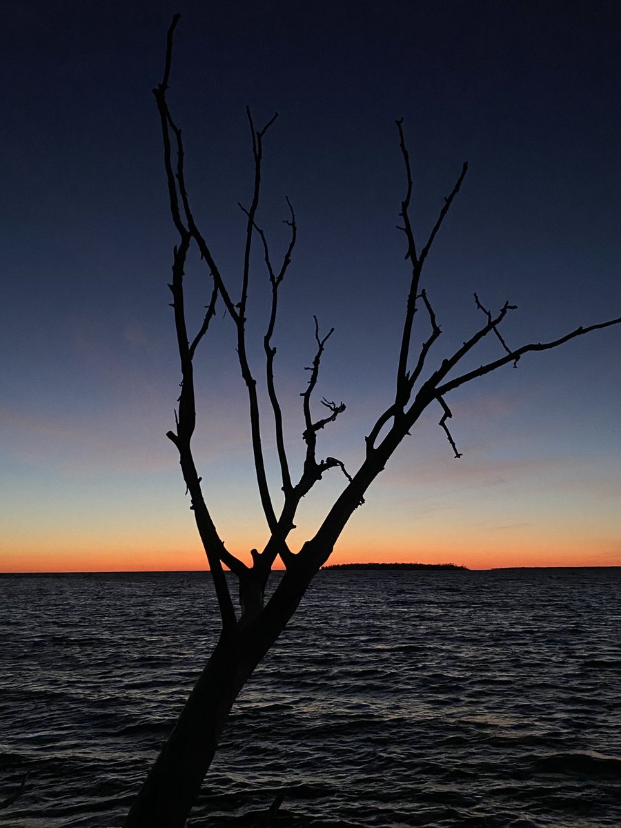 This one goes out in honor of former First Lady Rosalynn Carter with 🌊🌊 of respect for her service to humanity