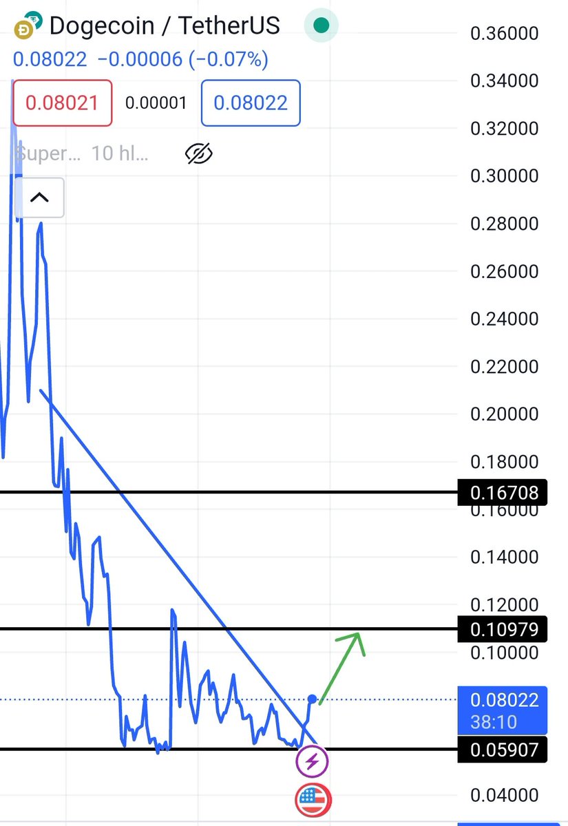 Catzilla (@Catzilla__) / Posts / X