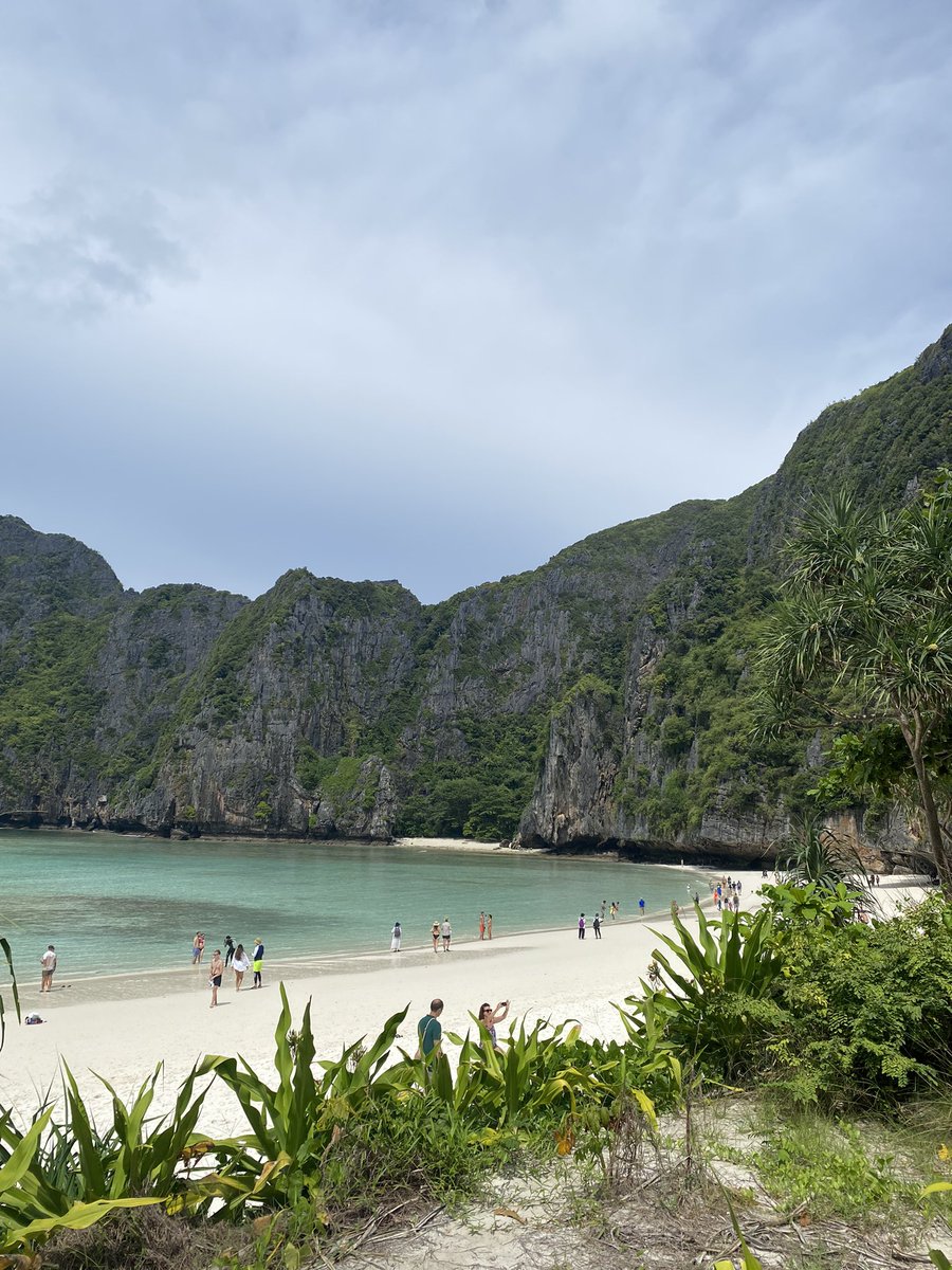 khanita 🦉 tweet media