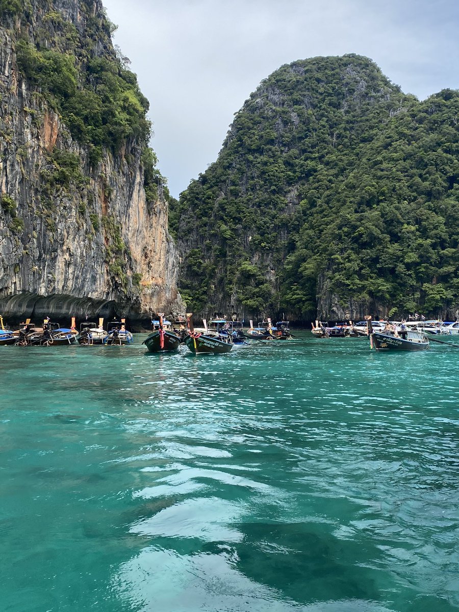 khanita 🦉 tweet media