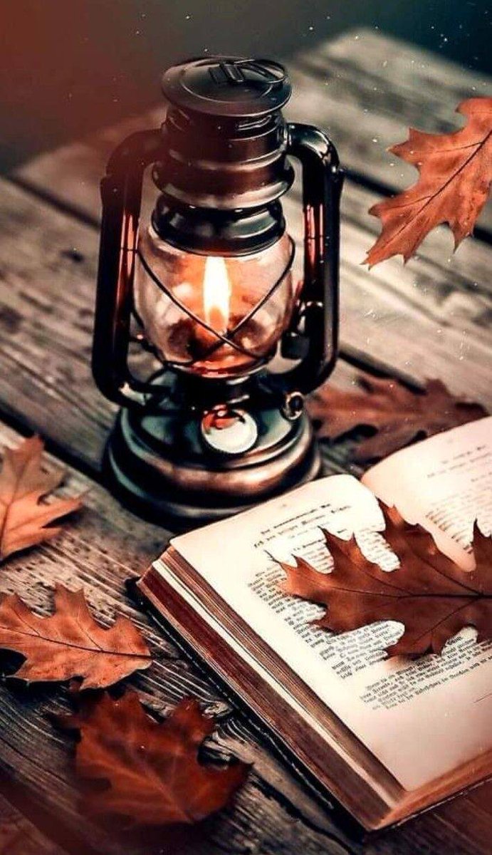 vimmodel's tweet photo. 🌕🌕🌕hello twitterverse https://t.co/Ew0EGNdmpp