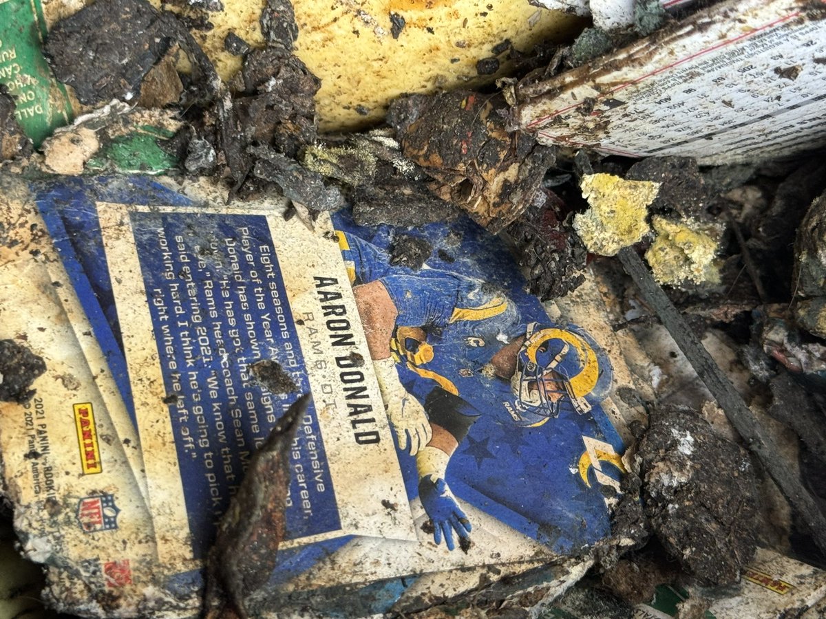 CompostingCards's tweet image. Aaron Donald in compost.
#CompostCards #GreenHobby
@AaronDonald97