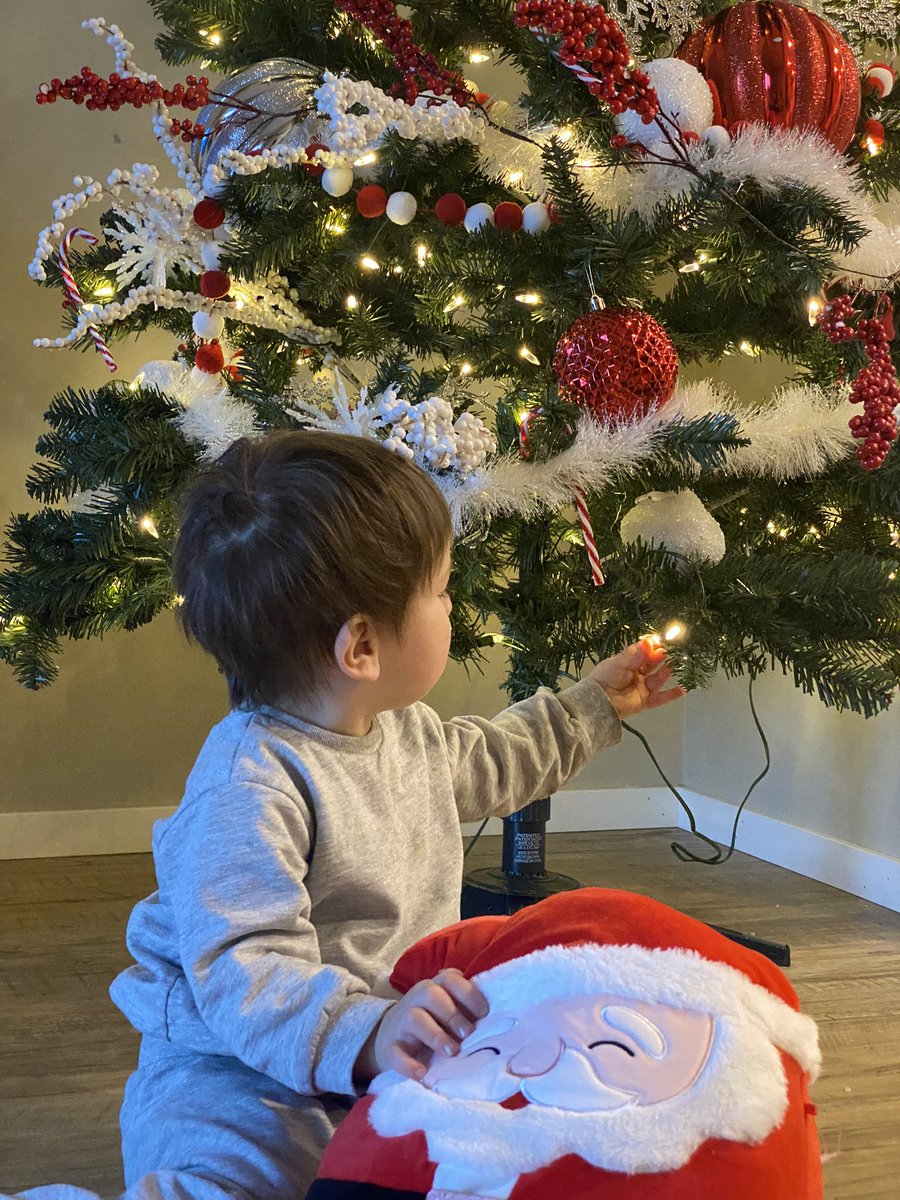 Hace 2 años vine a Canadá, sin trabajo, embarazada, viviendo en 1 cuarto, y sin idea cómo iba a sacar adelante a mi hijo, finalmente este año estoy con un súper trabajo, mi propio apartamento, con el hijo más lindo que existe y poniendo mi primera navidad. Lo lograste Yva ❤️