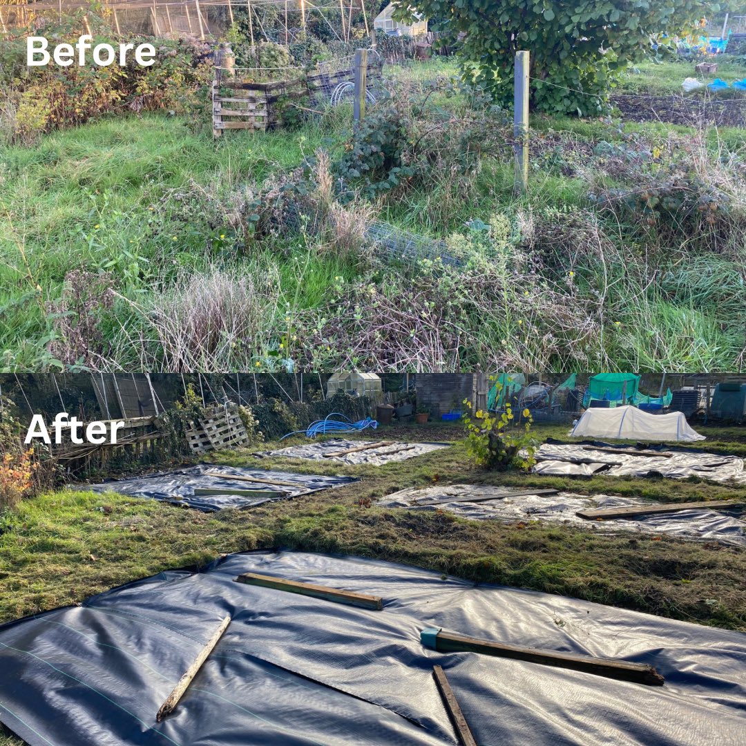 It’s been a busy first month, but it really feels the plot is taking shape.

#allotmentuk #allotmentlife #allotment #allotmentgarden #allotmentlove #allotments #allotmentsuk #allotmentstory #allotmentsppreciationsociety #growyourown #growyourownfood #fruitandveg