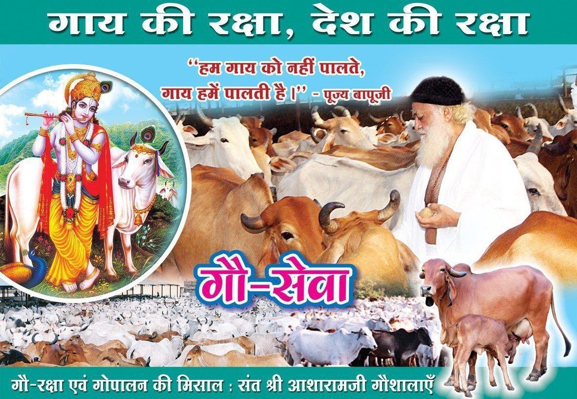 Pujya Sant Shri Asharamji Bapu highlights the selfless service of cows, stating, "We don't own cows; rather, cows serve us." 

Embracing the service of Mother Cow is a path to both worldly well-being and spiritual attainment.

Bapu ji envisions a day when Bharatiyas acknowledge