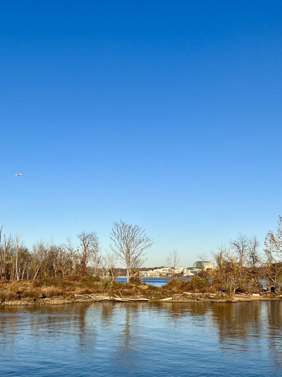 HobanGirl's tweet photo. Blue gets into your bones, uplifts with its bright crystalline purity. The Potomac River was calm, gently rippling through the marshy grasses, primordial against its urban backdrops. #NationalHarbor #WilsonBridge #Maryland #November #Autumn #Moonrise #Alexandria #contemplation https://t.co/II0wk1Igyx