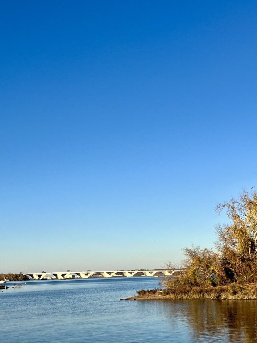 HobanGirl's tweet photo. Blue gets into your bones, uplifts with its bright crystalline purity. The Potomac River was calm, gently rippling through the marshy grasses, primordial against its urban backdrops. #NationalHarbor #WilsonBridge #Maryland #November #Autumn #Moonrise #Alexandria #contemplation https://t.co/II0wk1Igyx
