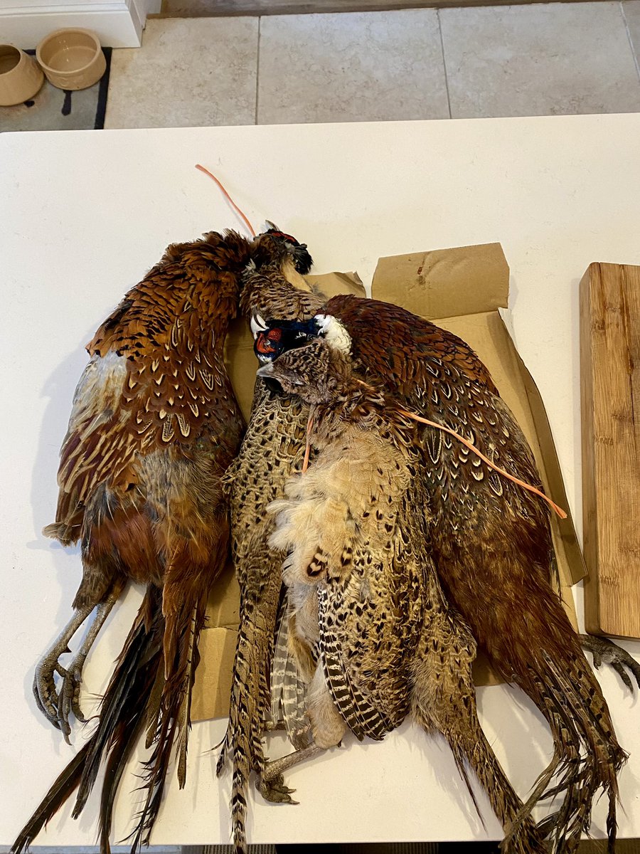 country044's tweet image. Not getting out much at the minute… handy that the other half knows someone that can and is kind enough to handover a couple brace! #eatgame